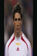 fernando torres wiki