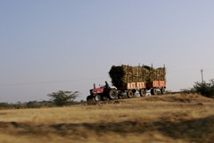 I am a train too