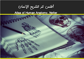 أطلس نتر لتشريح الإنسان ... Atlas of Human Anatomy, Netter بالعربي