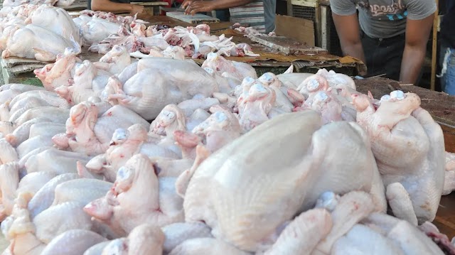 Ito Bisonó anuncia subsidio por más de RD$700 millones para producción de pollo