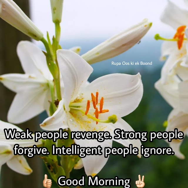 25 Beautiful & Positive Inspirational Good morning Quotes, Wishes and Messages