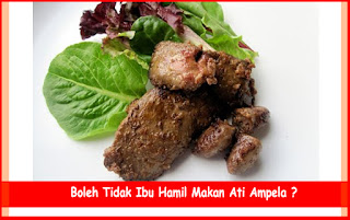 Boleh Tidak Ibu Hamil Makan Ati Ampela