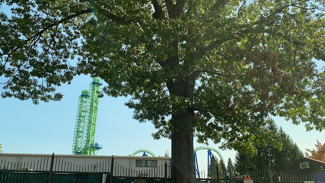 Goliath Coaster Six Flags New England