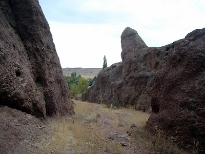 Conociendo Piedra del Aguila: Lo Agreste.-