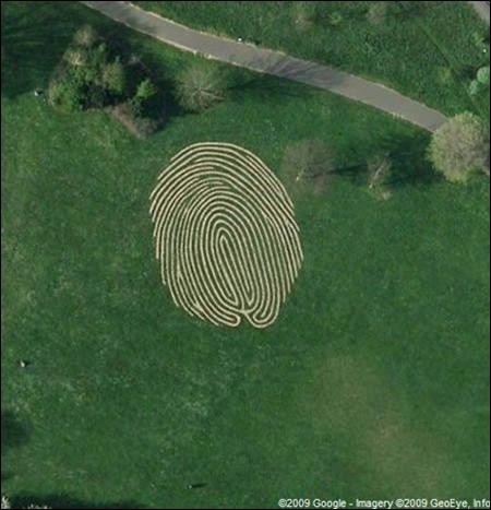 google earth funny pictures. 15 Amazing Google Earth Finds