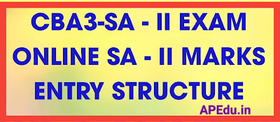 CBA3-SA - II EXAM ONLINE SA - II MARKS ENTRY STRUCTURE