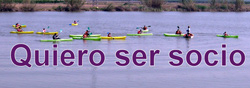 Aquí sabrás cómo