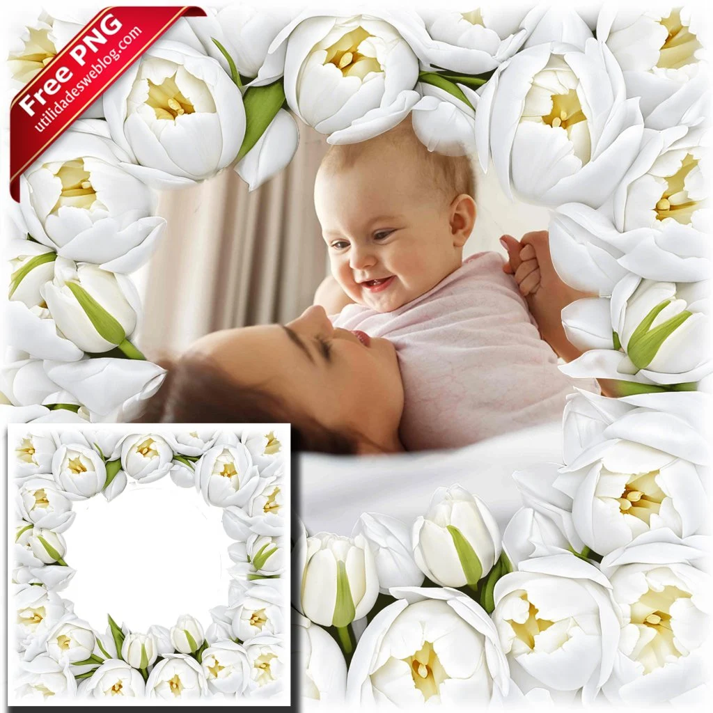 marco para fotos con flores de tulipanes blancos en png con fondo transparente para descargar gratis