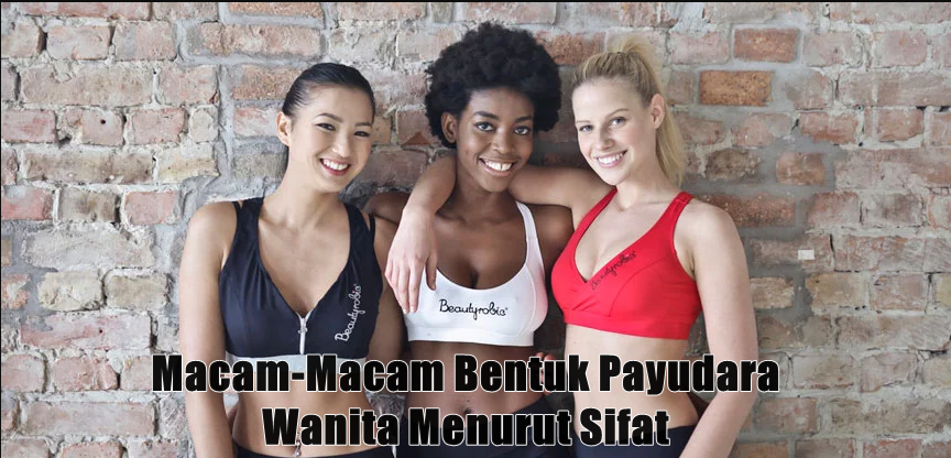  Macam  Macam Bentuk Payudara  Wanita Menurut Sifat 