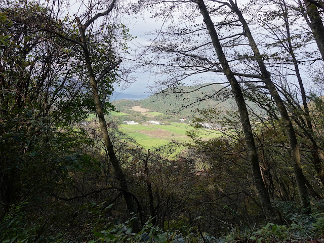 大山の香取の山道からの眺望