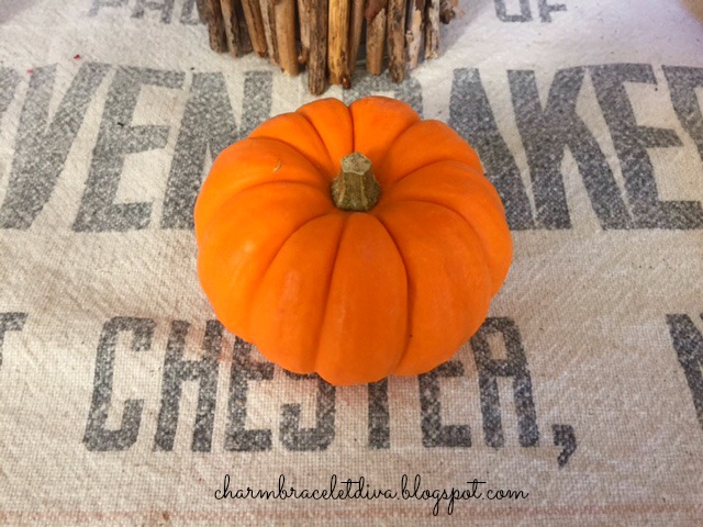 mini pumpkin on vintage grainsack