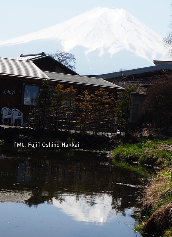 富士山を撮る旅「忍野八海」