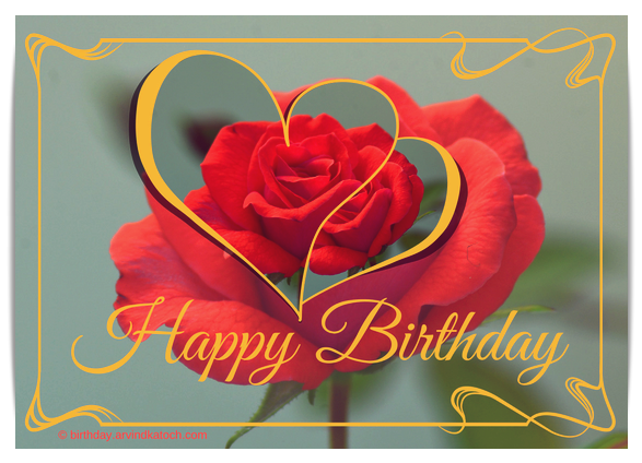 Love, Birthday Card, Red Rose, Rose,