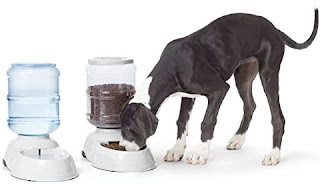 Amazon Basics Gravity Pet Food Feeder and Water Dispensers