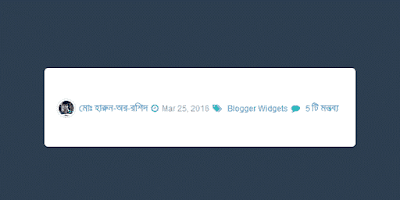 ব্লগে Post Author, Date, Labels ও Comments Display করুন