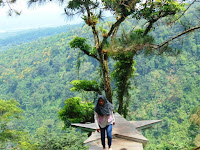 Bakal Ada Spot Baru di Wisata Hutan Pinus Gunungsari 