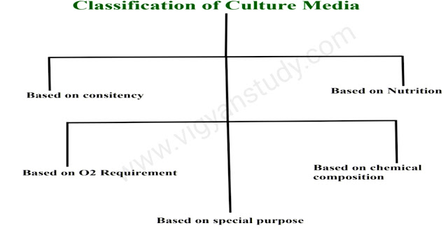 culture media in microbiology in hindi