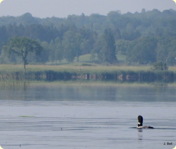 IMG_0069