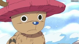 ワンピース アニメ 空島 スカイピア 167話 チョッパー Tony Tony Chopper | ONE PIECE Episode 167 Skypiea