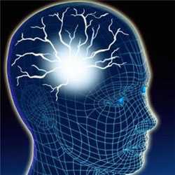 Τα μυστικά και ο τρόπος λειτουργίας του εγκεφάλου - Πλαστικότητα εγκεφάλου,αντίληψη, Δανέζης,συνείδηση,η επιπεδοχώρα, δυτικός πολιτισμός, εγκέφαλος, νευροεπιστήμες, νευροεπιστήμη, νευροφυσιολογία, νους, πλαστικότητα