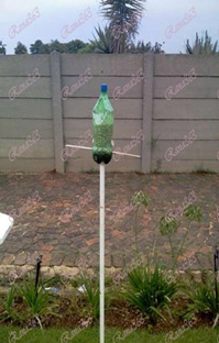 Soda-bottle-bird-feeder