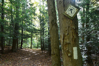 Hiking Bruce Trail Ontario Canada.