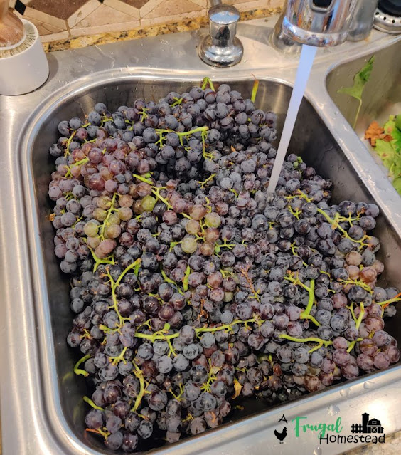 how to can grapes for juice