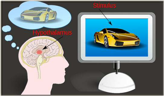 Neuromarketing 05