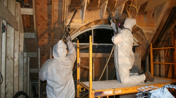 mold remediation company in san diego