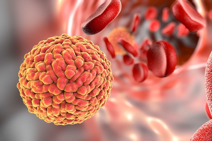 WHO Selidiki Laporan Pasien yang Sembuh Virus Corona tapi Tertular Lagi, naviri.org, Naviri Magazine, naviri majalah, naviri