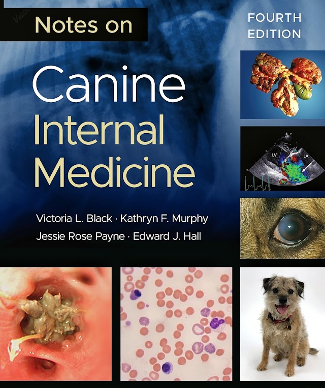 Free Download Canine Internal Medicine Full Pdf