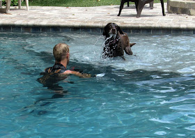 Underwater dogs