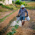 Agricultura familiar: projeto de lei pretende isentar pagamento pelo uso da água