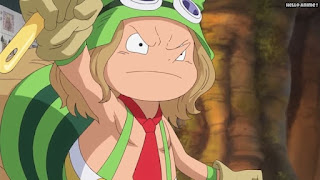 ワンピースアニメ ドレスローザ編 660話 レオ | ONE PIECE Episode 660