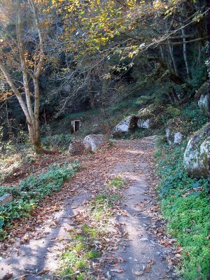 [caminhos+de+sintra-7.jpg]