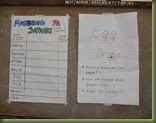 DSCN4367