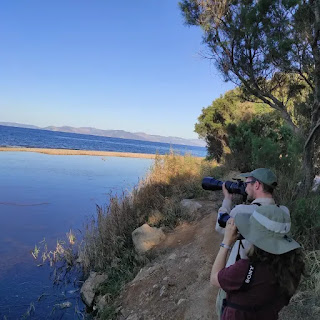 Taking close up shot of Kingfishers at Rafina's Stream