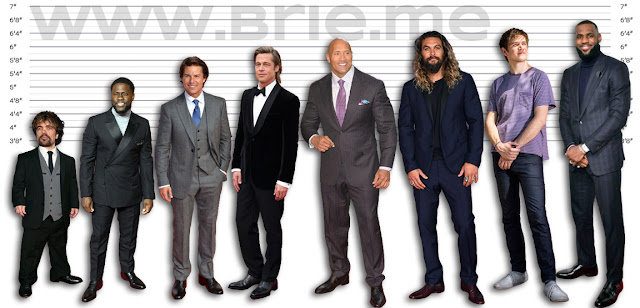 Peter Dinklage, Kevin Hart, Tom Cruise, Brad Pitt, The Rock, Jason Momoa, Bo Burnham, and LeBron James height comparison