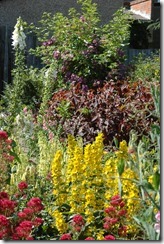 garden 008