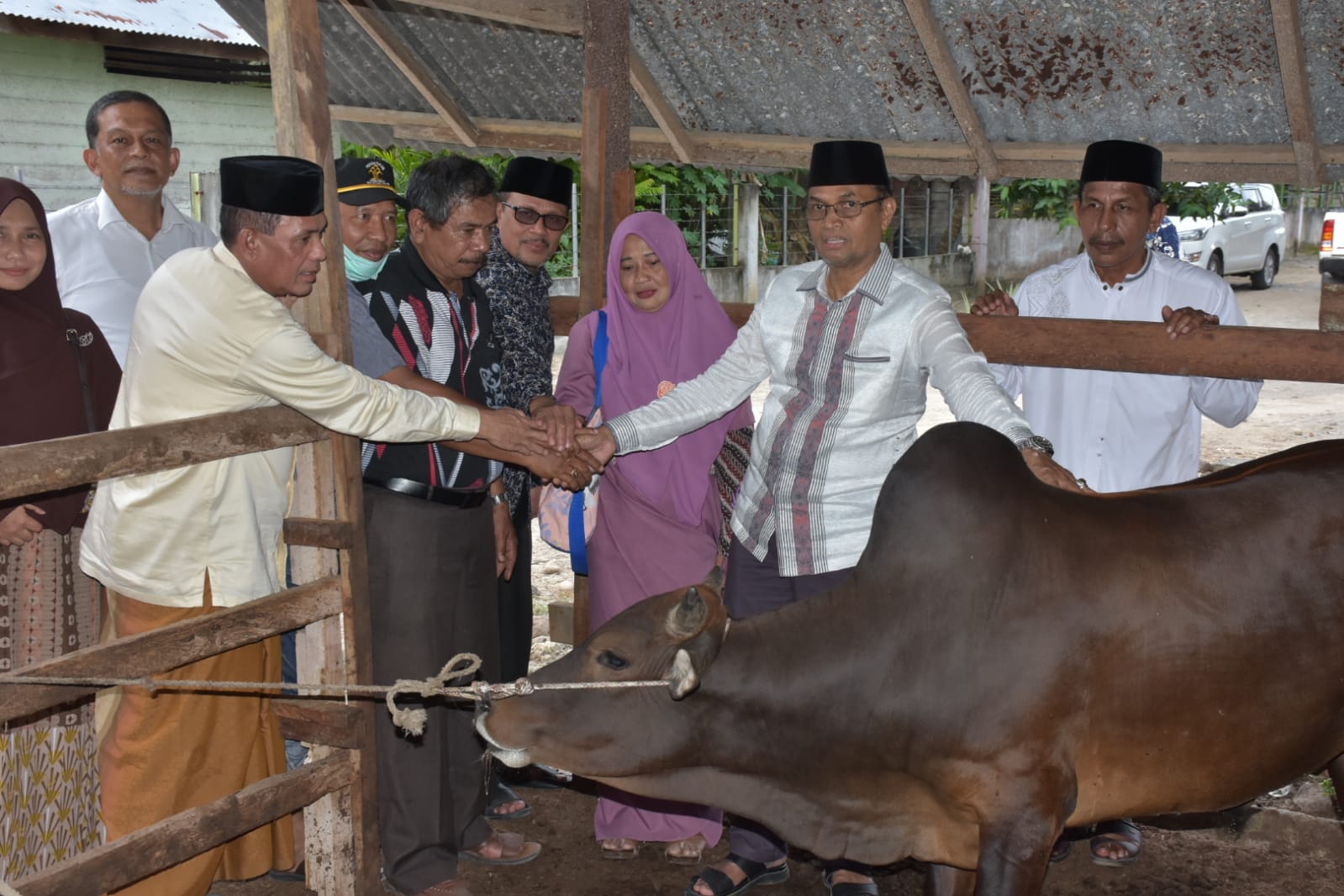 Alhamdulillah! Bupati Bireuen Serahkan 1 Ekor Sapi Qurban untuk Wartawan Liputan Bireuen