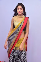 Naziya Khan Model in Saree At Kala Silk Handloom Expo Dec 2017~  Exclusive Galleries 006.jpg