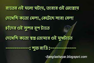 bengali good night message