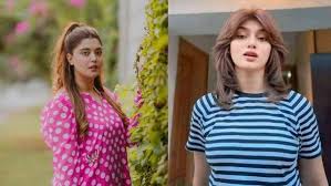 Criticism on four fashionable ticktockers by Ayesha Abadit