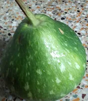 Tetor Dal Recipe  - Gourd one of the main ingredients of Tetor Dal Recipe