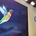 Google Humming Bird
