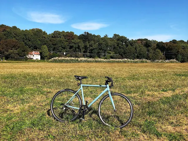 武蔵野公園までサイクリング