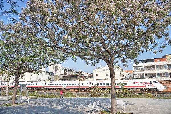 彰化崙平公園火車鐵道就在旁邊，還可拍苦楝花火車呼嘯而過