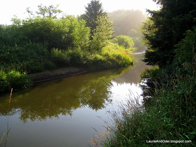 Morning sunshine on the creek bordering the park.