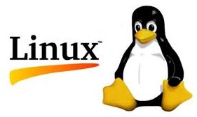 Istilah Populer dalam  SO Linux 