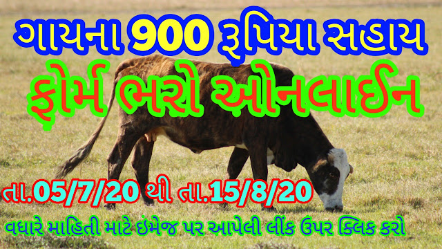 To-Do Natural Farming , One Cow Earns Rs. 900 will Get Maintenace costs ,Gay sahay Paripatra,Gay Sanjay Yojana 2020,Eligibility of Farmer Beneficiary under the Scheme of cow sahay yojana,Review of the scheme: cow Sahay Yojana